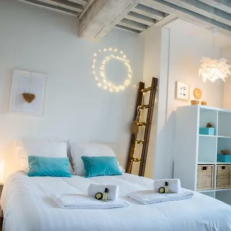 Апартаменты Le Sathonay - Loft Terrasse - Centre - Majord'home *